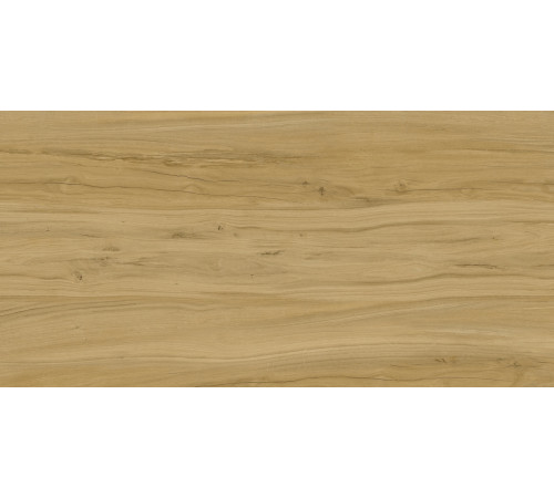 Alleya Brown Str. 60x120