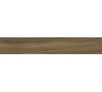Alleya Dark Brown Str. 20x120
