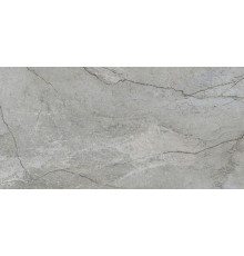 Арктикстоун Серый Матовый R10a 60x120