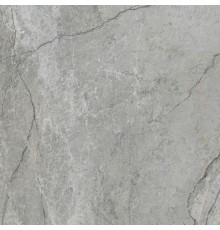 Арктикстоун Серый Матовый R10a 60x60