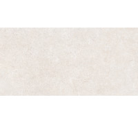 Сэндстоун Белый Матовый R10a 60x120