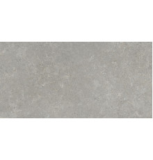 Сэндстоун Серый Матовый R10a 60x120