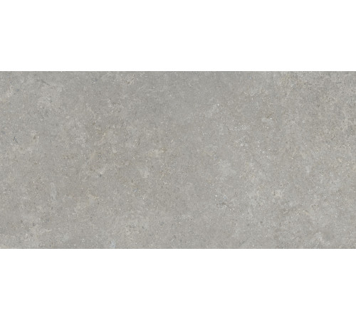 Сэндстоун Серый Матовый R10a 60x120