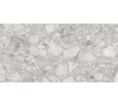 Софтчеппо Серый Матовый R10a 60x120