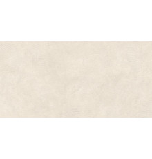 Сэндбарк Слоновая Кость Матовый R11b 60x120