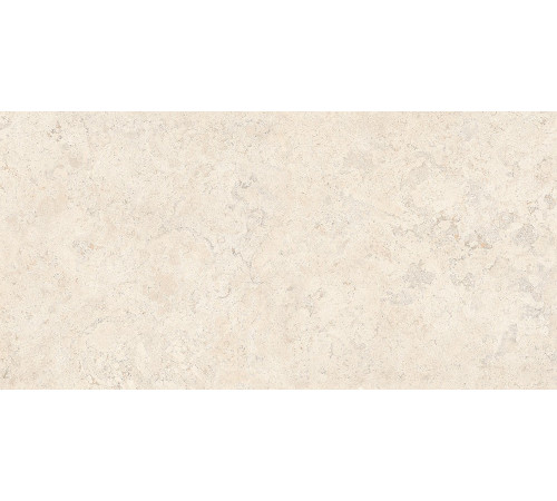 Спастоун Кампосперо Матовый 60x120