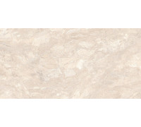 Спастоун Вениче Матовый 60x120
