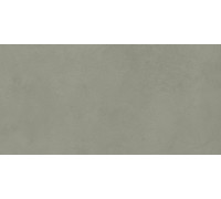 Артбетон Шалфей Матовый 60x120
