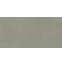 Артбетон Шалфей Матовый 60x120