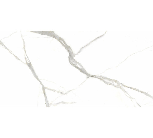I Naturali Calacata Michelangelo 5+ Mm 162x324