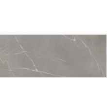 In Side Pietra Piasentina Grigio Fiammato 5.6 Mm 120x300