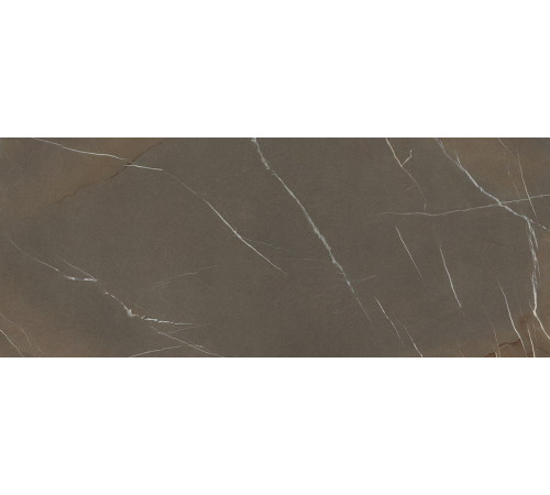 Pietra Piasentina Taupe 5.6 Mm 120x300