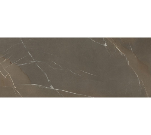 In Side Pietra Piasentina Taupe Fiammato 5.6 Mm 120x300