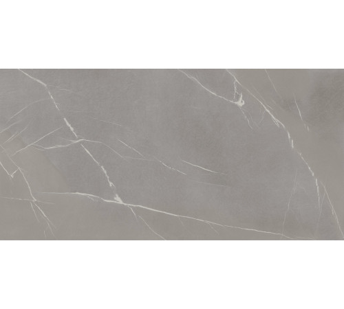 In-Side Pietra Piasentina Grigio Full Size 12+ Mm 162x324