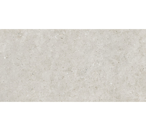 Beren Light Grey Ductile Soft 60x120