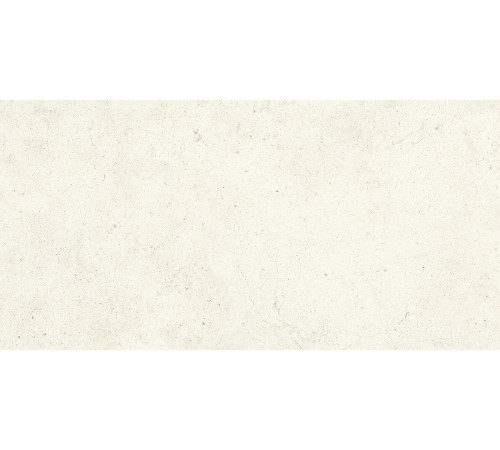 Bera White B.Hammed 45x90