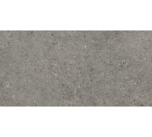 Beren Dark Grey B.Hammed 45x90