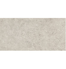 Beren Light Grey Natural 60x120
