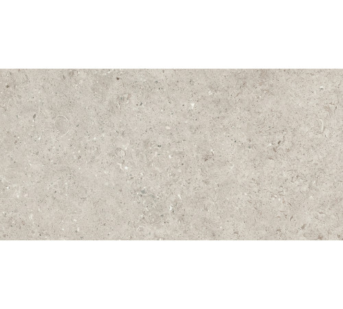 Beren Light Grey Natural 60x120