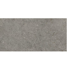 Beren Dark Grey Natural 60x120