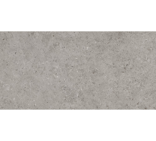 Beren Greige Soft 60x120