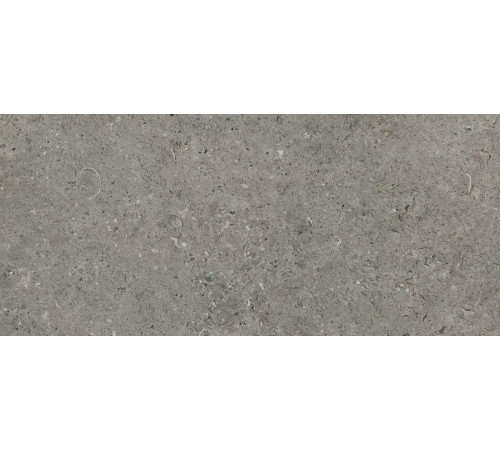 Beren Dark Grey Honed 6mm 120x270