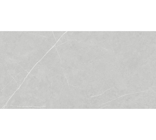 Allure Light Grey Anti-Slip 60x120