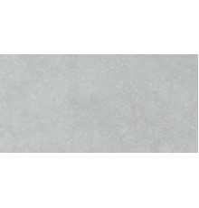 Noon Grey Ductile 60x120