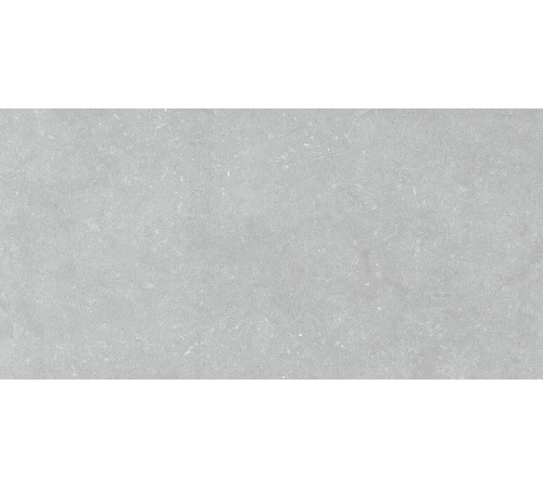 Noon Grey Ductile 60x120