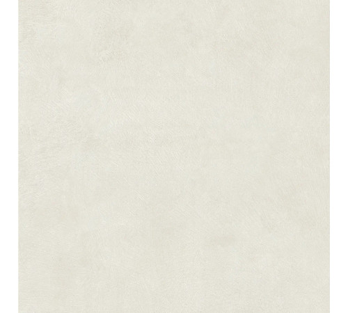 Still Light Grey Honed 90x90