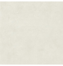 Still Light Grey Honed 120x120