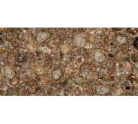 Petrified Wood (Round) (Compound With Granit)
