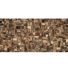 Petrified Wood (Party) (Compound With Granit)