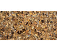 Grass Fossil 670 00 (Compound With Granit)
