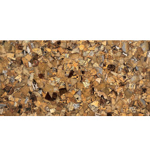 Grass Fossil 670 00 (Compound With Granit)