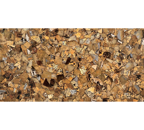Grass Fossil 670 00 (Compound With Granit)