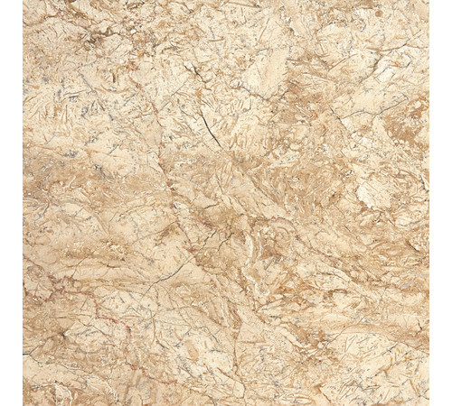 Desert Gold 60x60x1.2
