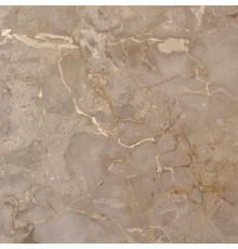 Desert Grey 80x80