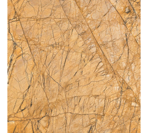 Giallo Castle 60x60