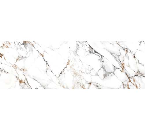 Arabescato Gold Glossy 80x240