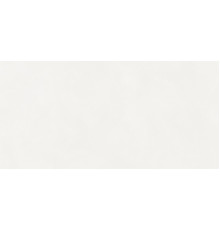 Aston White Matt 60x120