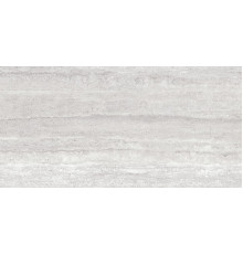 Travertino Silver Decor Matt 60x120