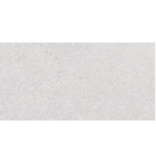 Venti Silver Matt 60x120