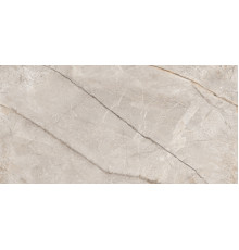 Silver Stone Matt Carving 60x120