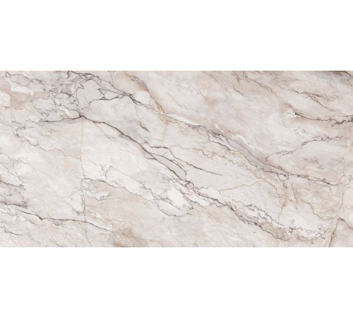 Terre Di Bolgheri Gloss Polished 6mm 160x320