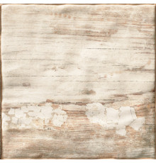 Colonial Mango 20x20