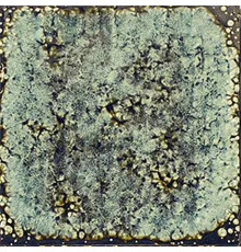 Artigiano Marine 20x20