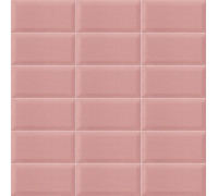 Bissel Pink 10x20