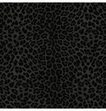 Обои Zambaiti Philipp Plein 2 1.06x10.05