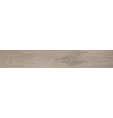 Roots Taupe Matt 20x120
